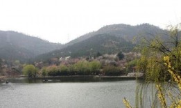 十梅庵今日爆料了吗最新消息,今日热点事件深度解析”